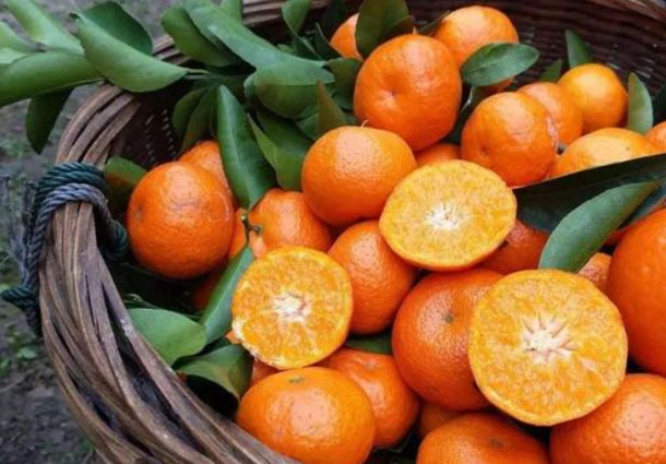 ɰ����